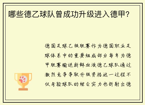 哪些德乙球队曾成功升级进入德甲？